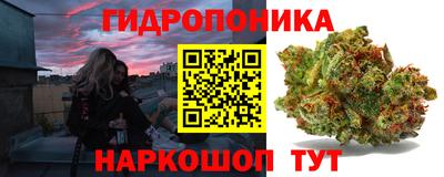 амф Можга