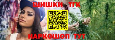 дживик Моздок