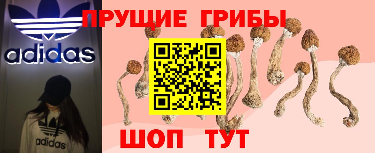 Галлюциногенные грибы Magic Shrooms Зеленогорск